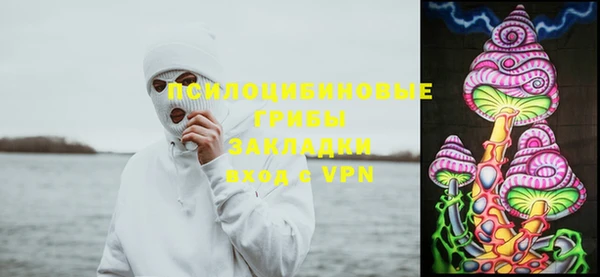 гашик Армянск
