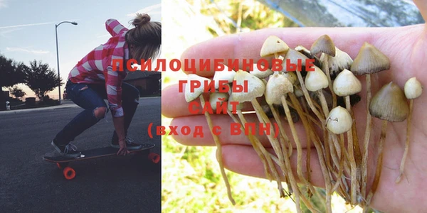 не бодяженный Сосновоборск