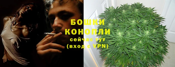 не бодяженный Сосновоборск