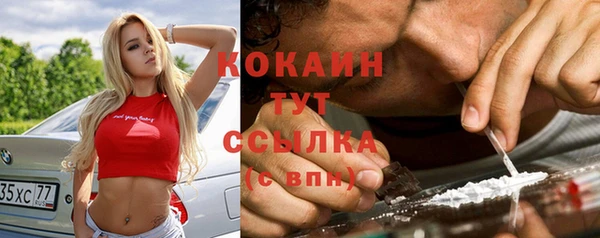 стаф Арсеньев